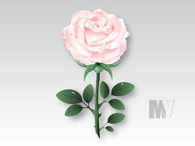 Soft rose 2d design flower icon illustration illustrator rose vector web