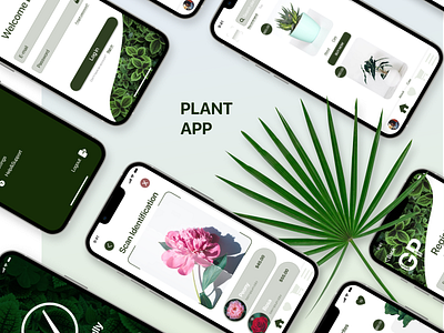 Plant App aplication app design mobile design plant prototype store ui ux web web design wireframes