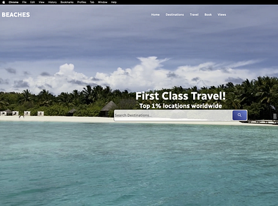 Beaches Travel Web-site branding typography ui