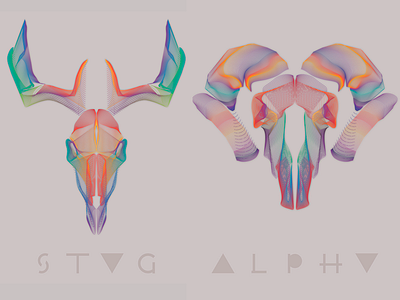 STAG ALPHA illustration experiment illustration skull stag