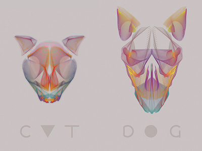 CAT DOG illustration cat dog experiment illustration skull