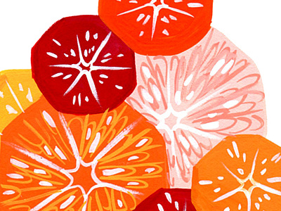 Citrus Salad citrus food gouache grapefruit orange