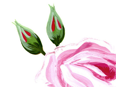la vie en rose botanical illustration floral gouache illustration rose