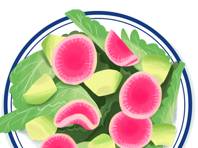 Watermelon Radish Salad food illustration illustration