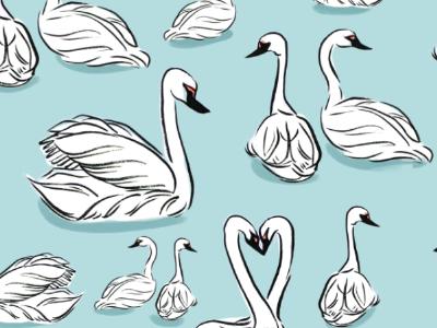 Swan Pattern design illustration pattern surface swan textile