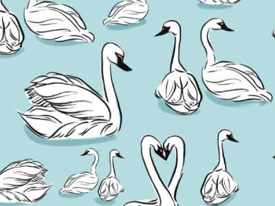 Swan Pattern