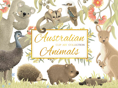 "Australian Animals" clip art collection australia australian design clip art design graphic designs graphics illustration