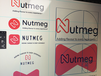 Nutmeg - A work in progress design golden ratio inspiration logo