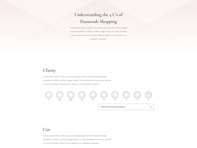 Jeweler Website Template Design for Divi by Ishtiaq Khan Parag for ...