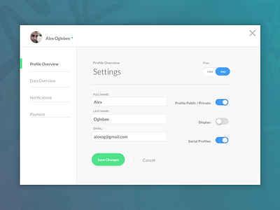 Daily UI #006 - Settings 006 dailyui design interface settings ui visual