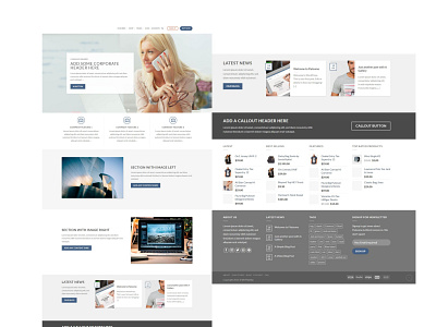 Corporate WordPress Website Design blog branding elementor portfolio template theme web development website design wordpress