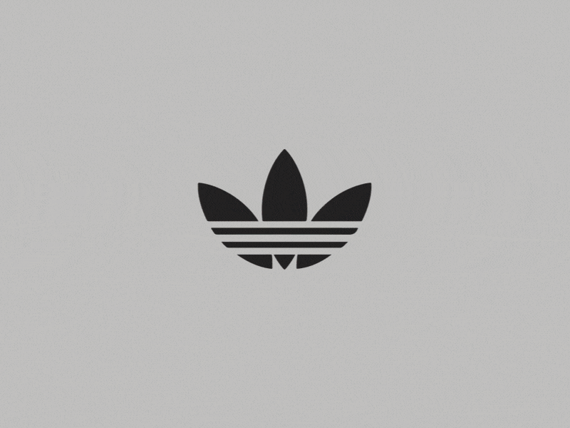 Adidas Creators Collective animation gif illustration motion design