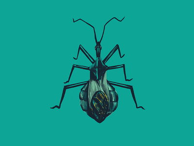 Wheel Bug (Arilus cristatus) bug bug catcher bugs digital illustration drawing illustration insects ipadpro women who daw
