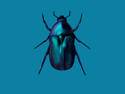 June bug bug bug collector color study cute illustration insect luminescent