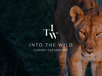 Into the Wild brand brand design brand identity branding branding design identity identity branding identity design identity designer identitydesign logo logo design logodesign logos logotype