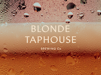 Blonde Taphouse brand brand design brand identity branding branding design identity identity branding identity design identity designer identitydesign logo logo design logodesign logos logotype