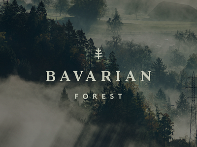 Bavarian Forest