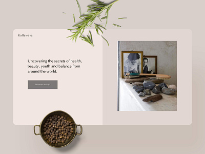 Kallawaya Website design interaction layout screen design ui ux web website