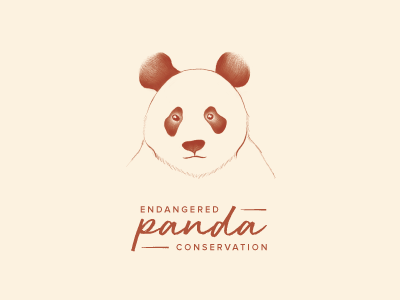 Day 3 - Panda animal bamboo branding daily logo challenge illustration logo panda