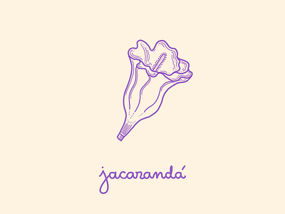 Jacaranda art branding digital icon illustration illustrator lettering logo type typography vector