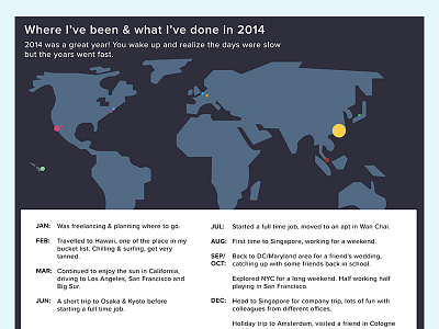 My Travel Summary 2014 flat infographic information location map review summary travel trips