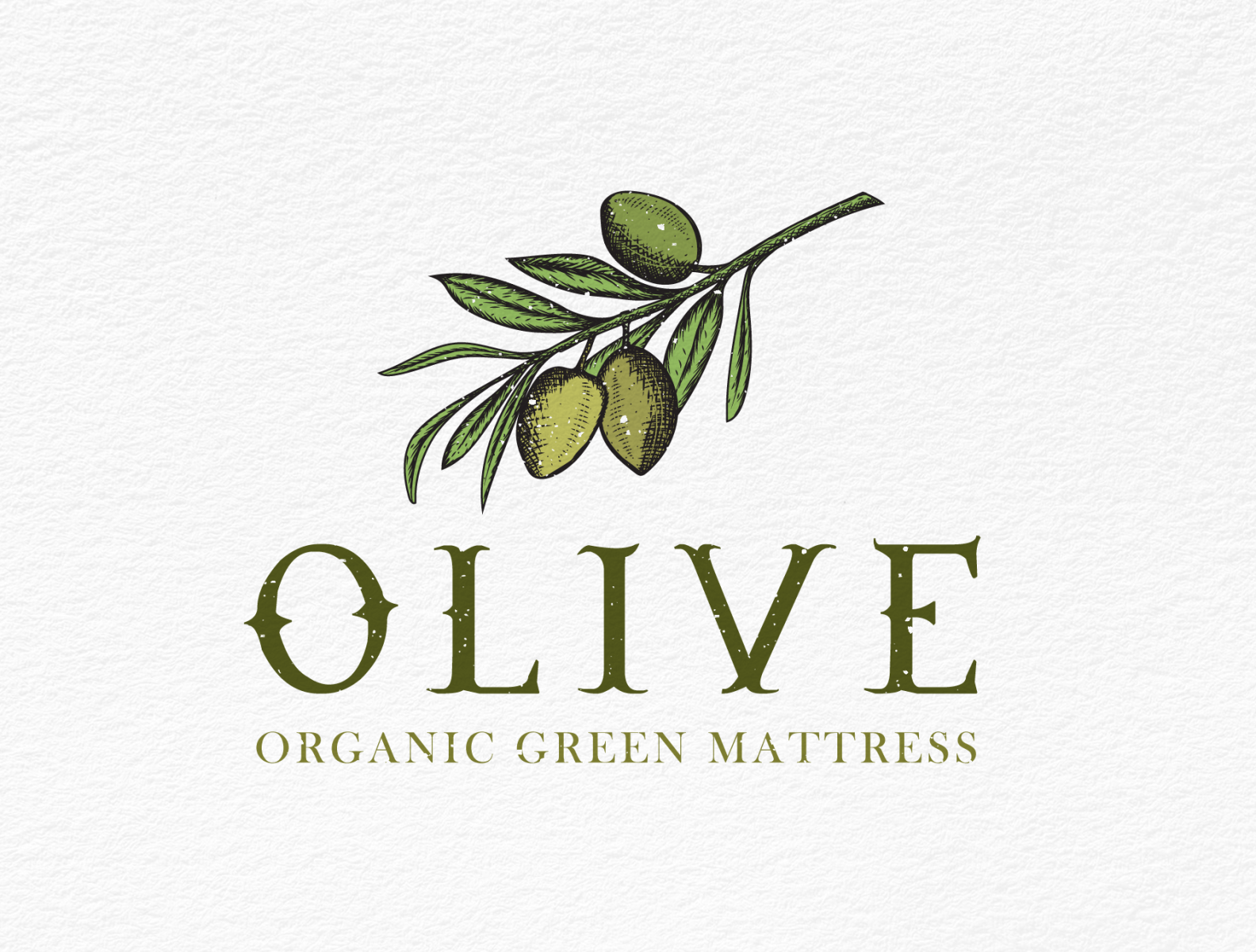 olive-logo-design-by-starart-on-dribbble