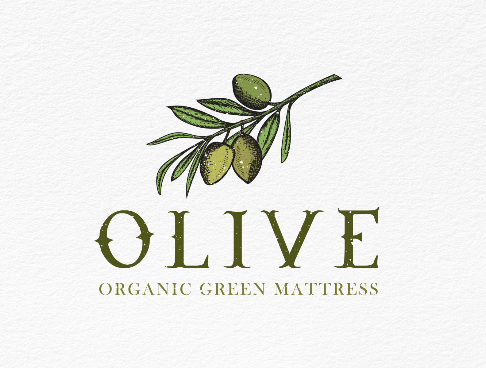 Olive oil logo vector icon illustration - stock vector 2397426 | Crushpixel
