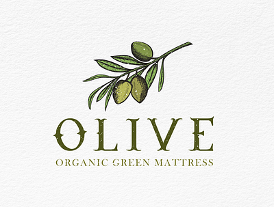 Olive Logo Design brand identity branding design emblem logo graphic design illustration logo olive olive logo sketch logo vintage logo