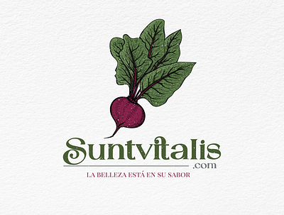 Suntvitalis Brand Logo beet brand identity branding design emblem logo logo sketch vintage logo