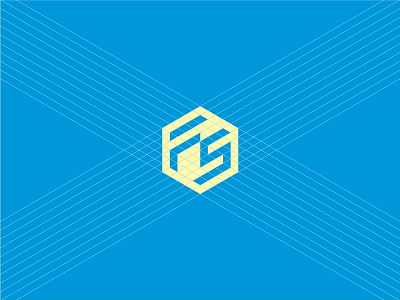 FS branding fs hexagonal identity logo