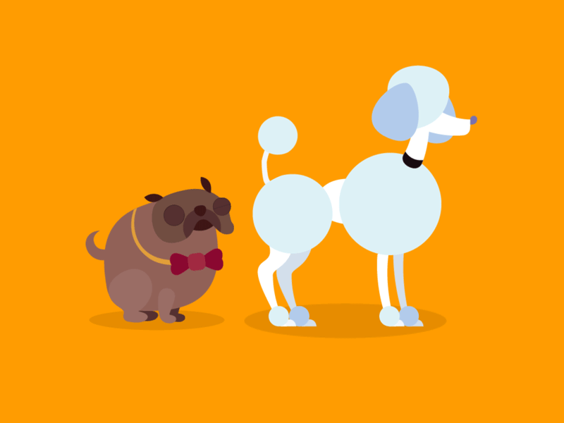 Ralf Sniffing animal animation animation 2d character cute design dog dog illustration game gif illustration illustrator interactive loop poodle pug sniff spine spine animation vector
