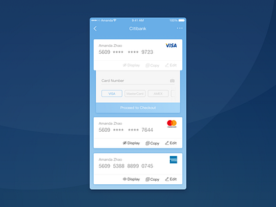 Proceed to Checkout app bank design details financial home investmentcards ios payment ui