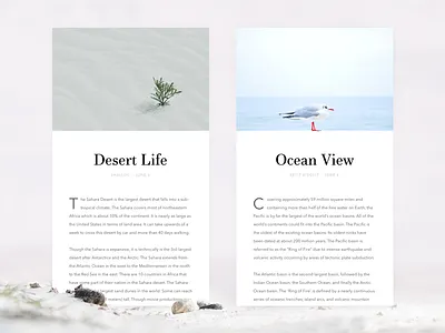 Article Cards article bird blog clean desert minimal ocean plant simple ui