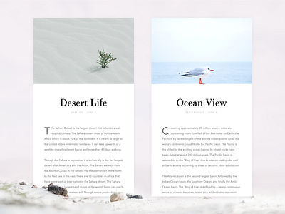 Article Cards article bird blog clean desert minimal ocean plant simple ui