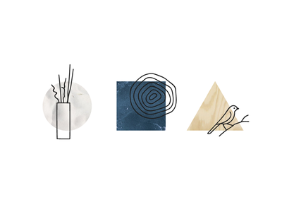 Shapes