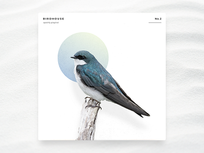 Birdhouse album bird birdhouse cover minimal music playlist simple song