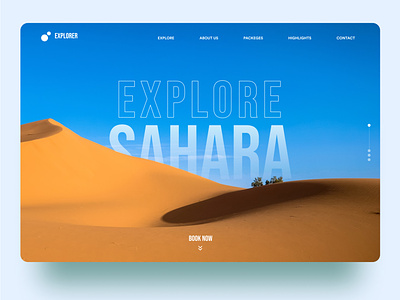 Sahara Desert Banner Concept 🌵 ❤️ app banner branding desert design graphic design header heroimage illustration ios logo sahara ux vector web