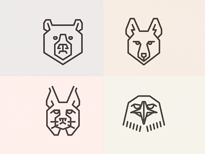 Bear, Coyote, Bobcat, Hawk animals bear bobcat coyote eagle geometric hawk heads illustration line lynx predators wolf