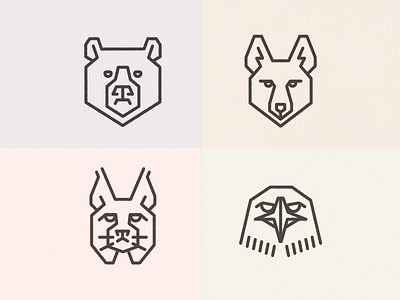 Bear, Coyote, Bobcat, Hawk