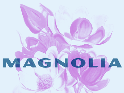 Magnolia band poster riso