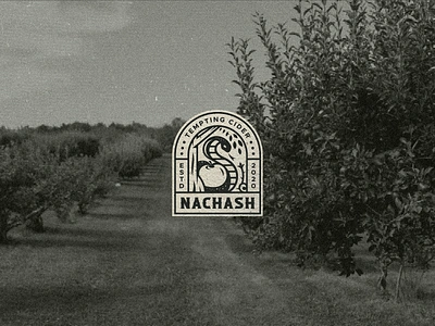 Nachash Cider alcohol apple apple tree branding cider craft craft cider drink garden of eden geometric graphic design identity label label design logo logo design negative space serpent snake tree