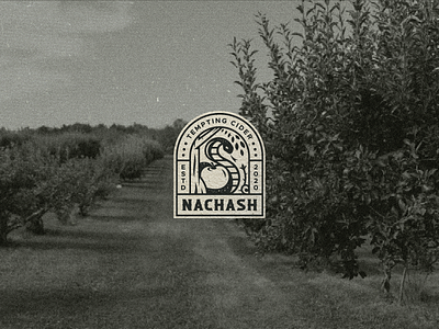 Nachash Cider