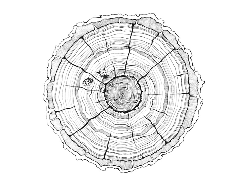 Tree Trunk - 2017 Pen Illustrated Calendar detailed black and white hand drawn ladybug ladybird tree nature illustration pen and ink calendar holiday gift etsygifts