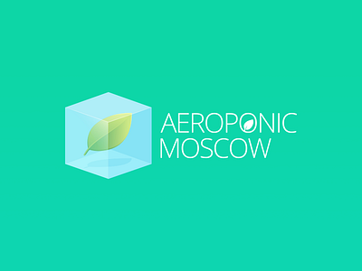 Aeroponic Moscow