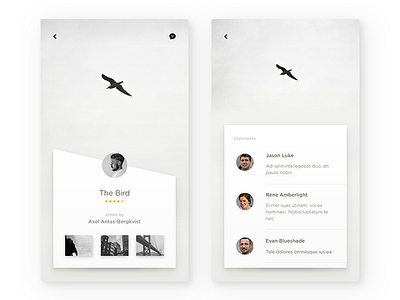Gallery & Comment android bird black clean comment gallery i dont know idk ios profile ui white