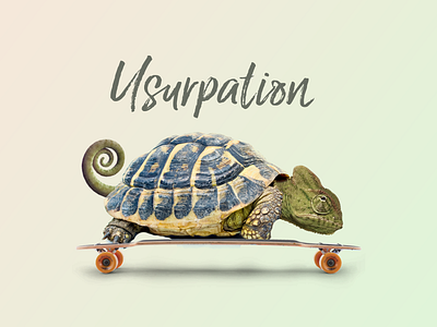 usurpation cameleon carapace design fun graphic montage skate steal stronger tortuga