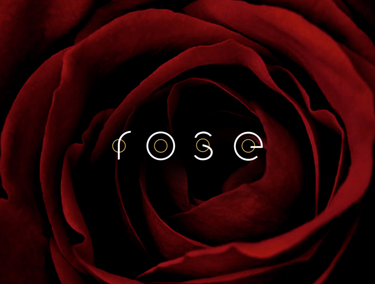 rose by Tjasa Abraham | Silkyluss on Dribbble