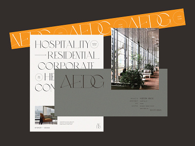 AE Design Group | Branding Concepts architect branding elegant interior design logo lynx minimal monogram website