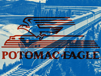 Potomac Eagle adventure branding design eagle illustration journey logo plataform potomac tourism train trip typography ui vector visit web design web development