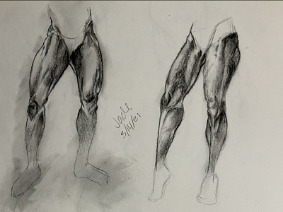 Leg Study